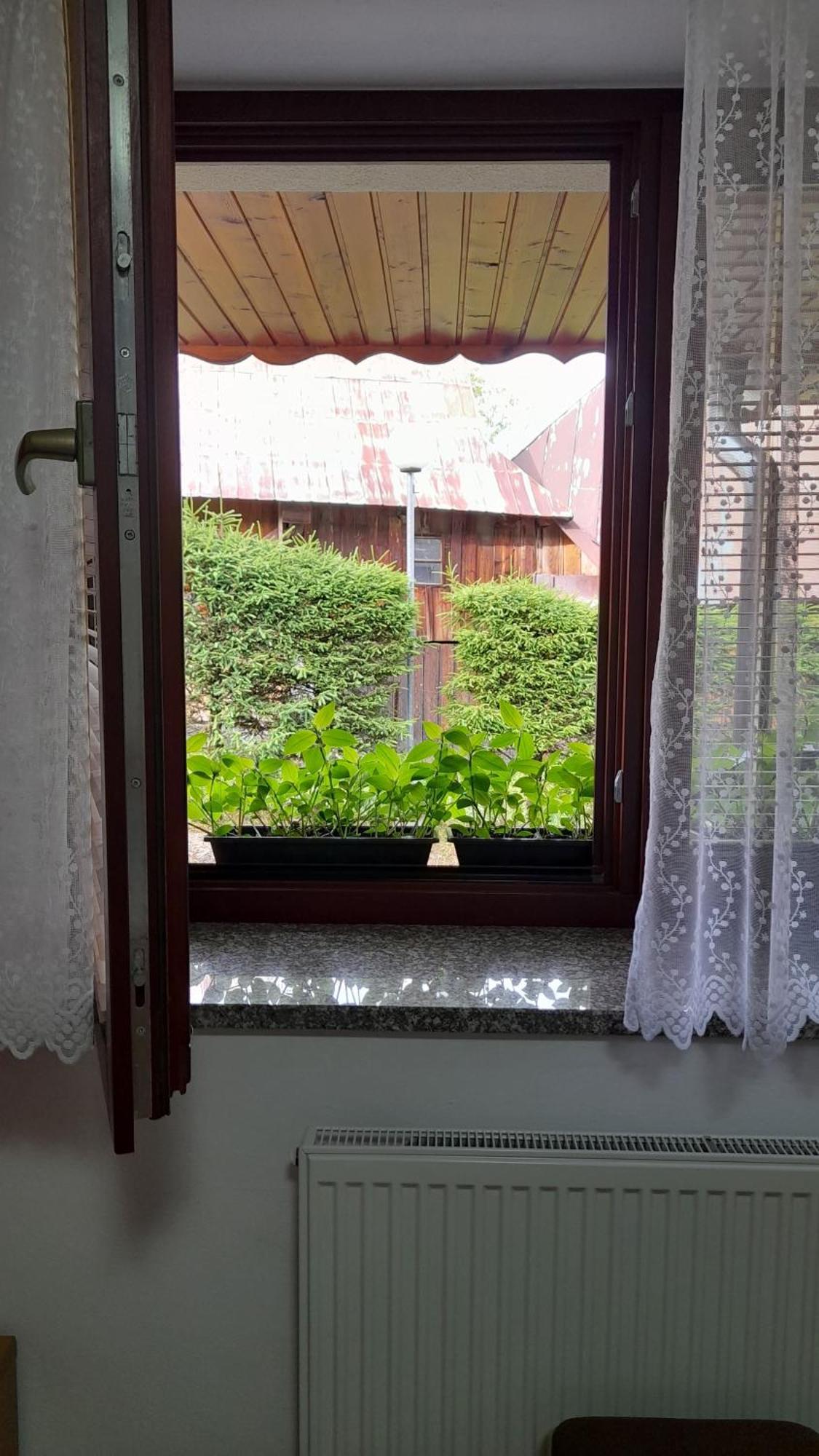 Penzion Bachleda Ždiar Exteriér fotografie